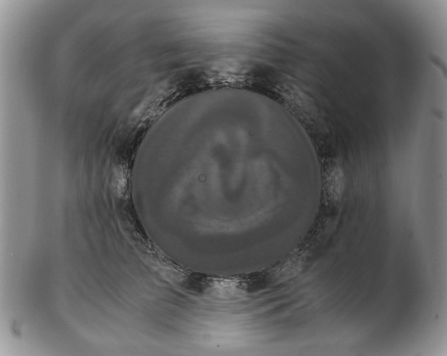 X0000102800709200809021137