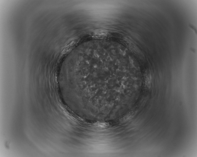 X0000102800711200809021136