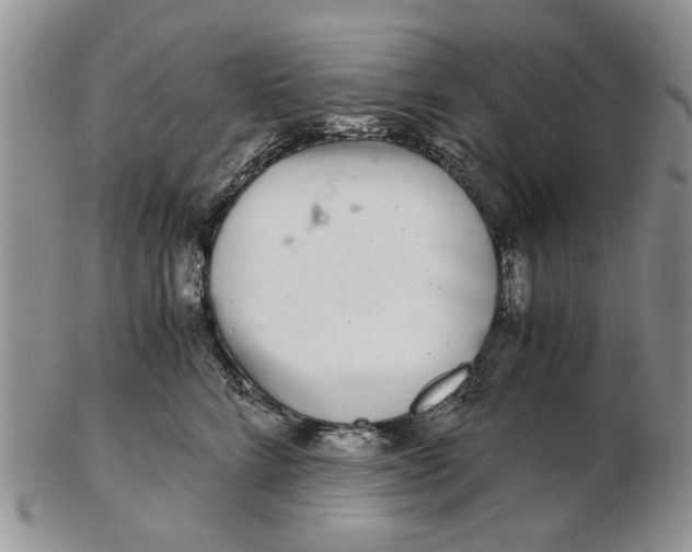 X0000102800712200809021136