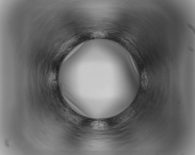 X0000102800714200809021136