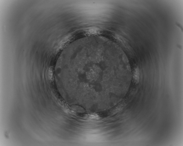 X0000102800715200809021136