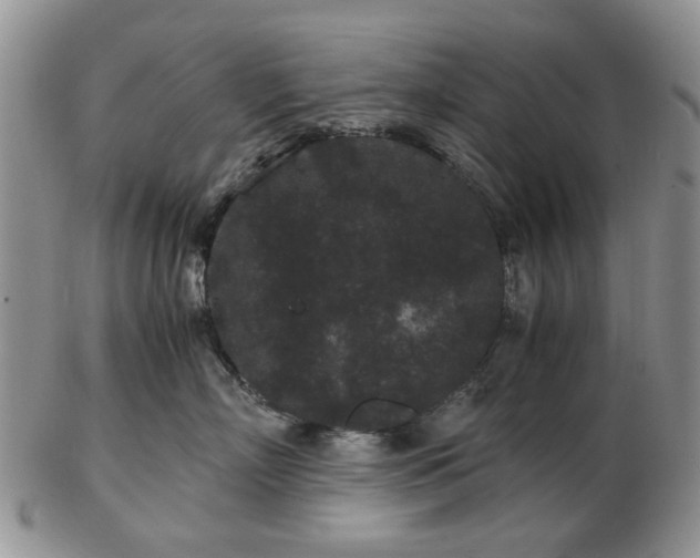 X0000102800718200809021136