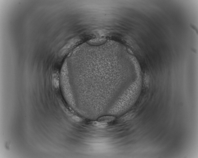 X0000102800719200809021136