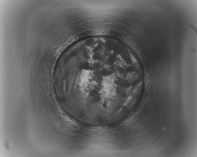 X0000102800721200809021136