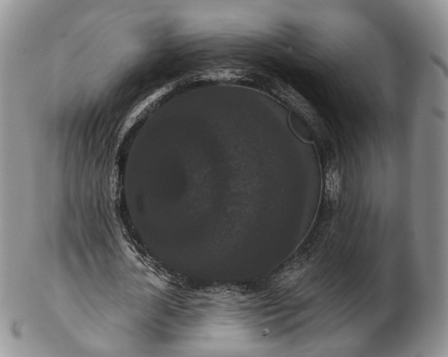 X0000102800724200809021136