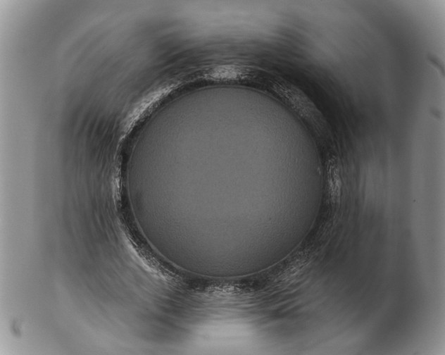 X0000102800728200809021136