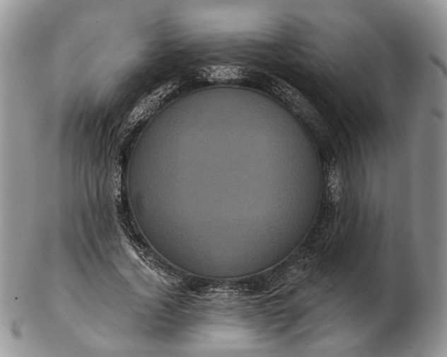 X0000102800732200809021136