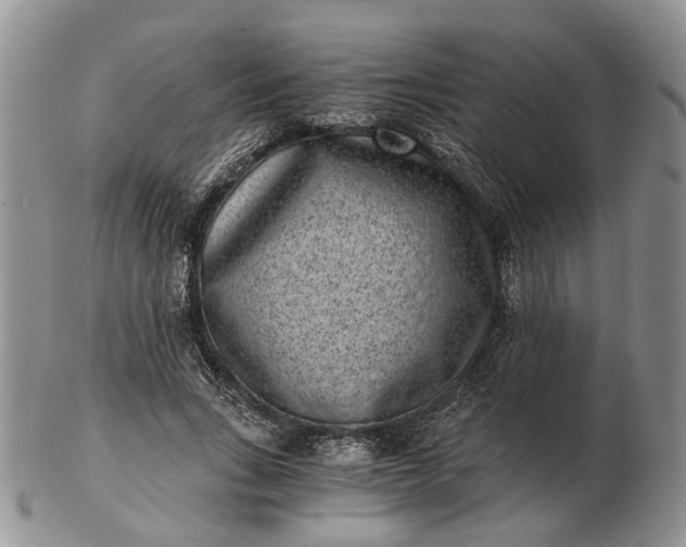 X0000102800735200809021136