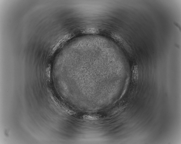 X0000102800739200809021136