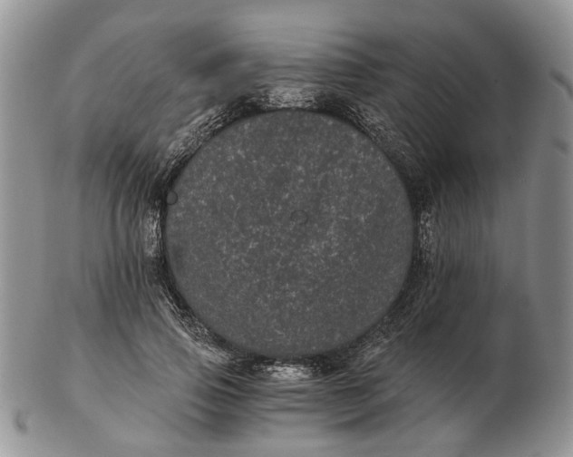 X0000102800741200809021136