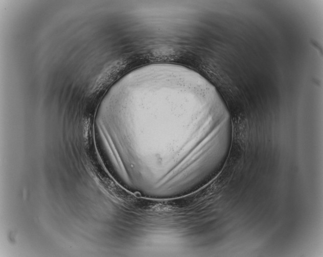 X0000102800742200809021136