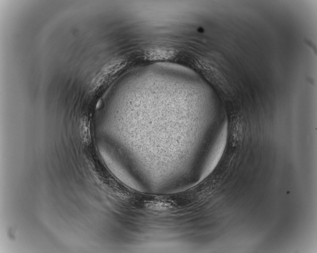 X0000102800743200809021136