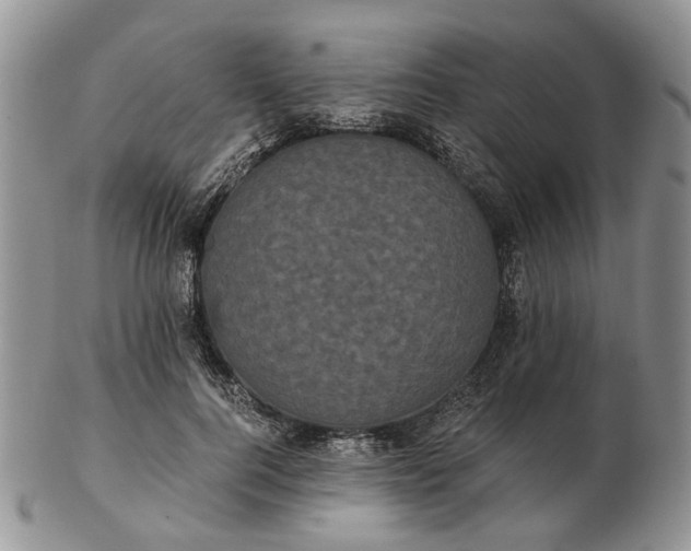 X0000102800744200809021136