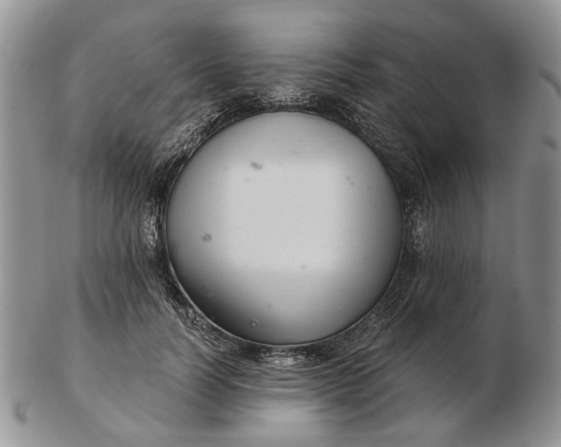 X0000102800746200809021136