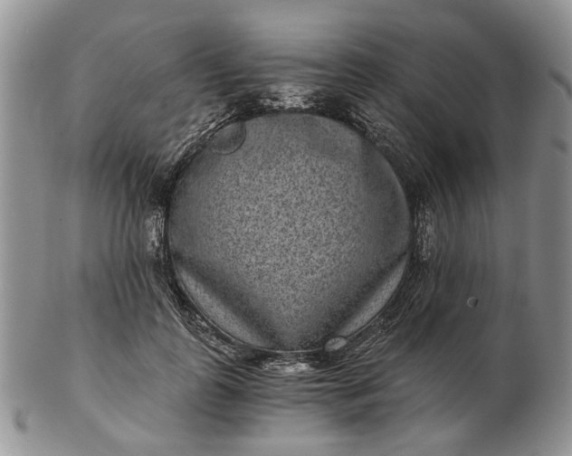 X0000102800747200809021136