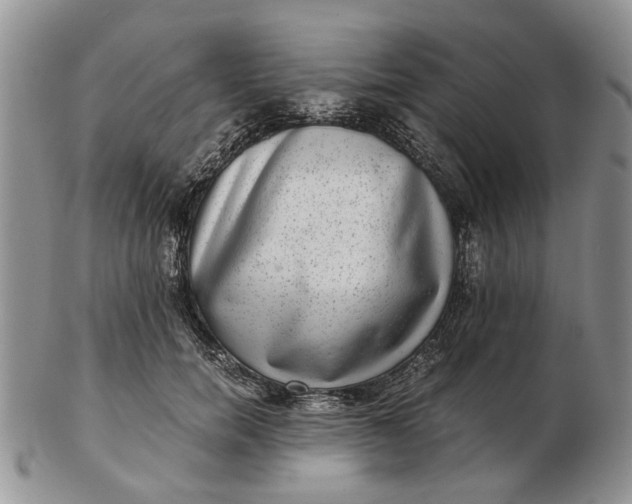 X0000102800750200809021136