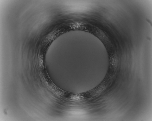 X0000102800754200809021136