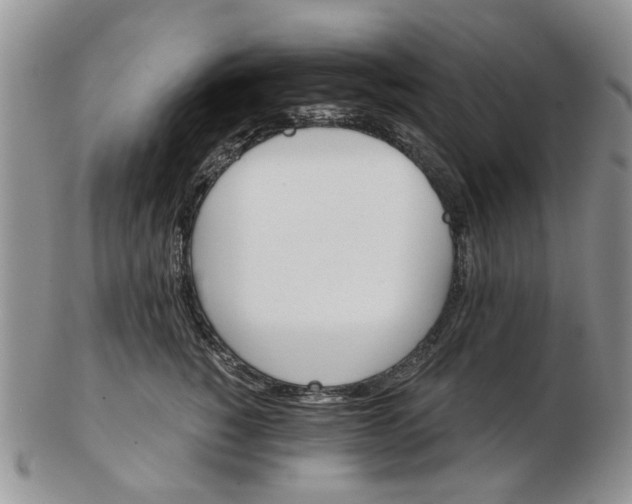 X0000102800760200809021136