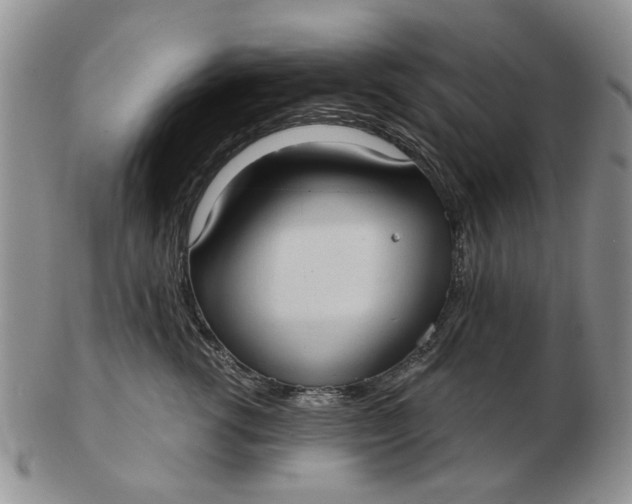 X0000102800762200809021136