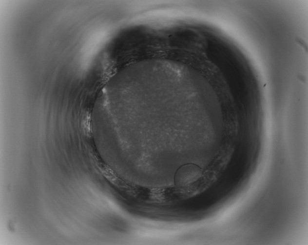 X0000102800766200809021136