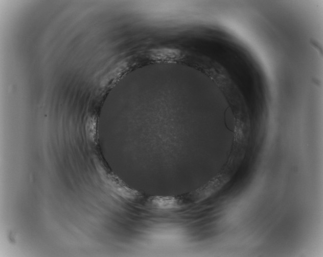 X0000102800767200809021136