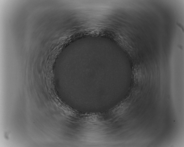 X0000102800769200809021136