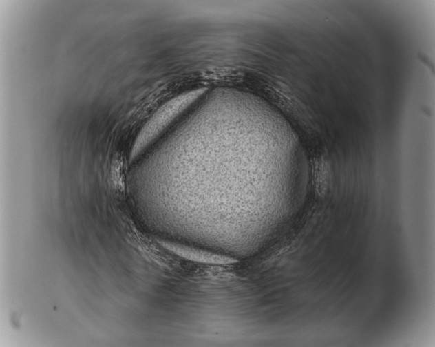 X0000102800770200809021136