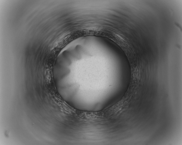 X0000102800774200809021136