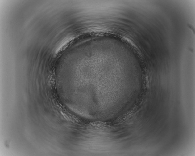 X0000102800775200809021136