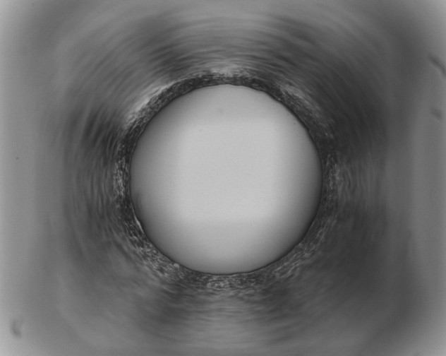 X0000102800776200809021136