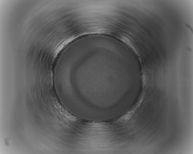 X0000102800781200809021136