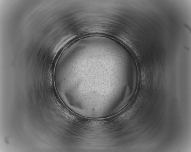 X0000102800782200809021136