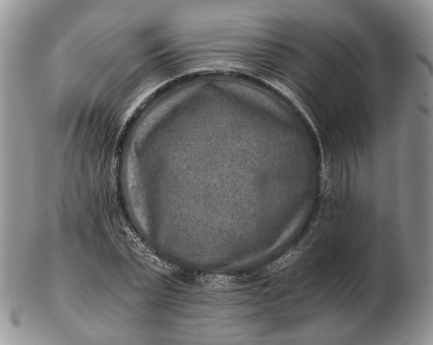 X0000102800783200809021135