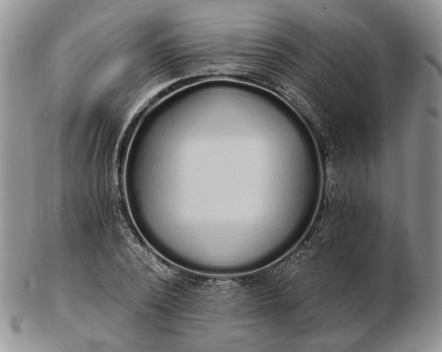 X0000102800784200809021135