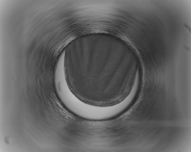 X0000102800785200809021135