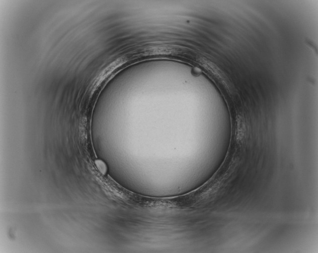 X0000102800786200809021135