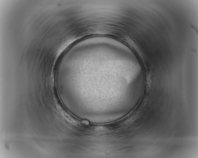 X0000102800787200809021135