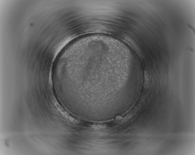 X0000102800788200809021135