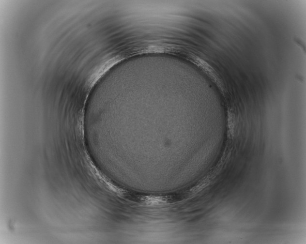 X0000102800794200809021135