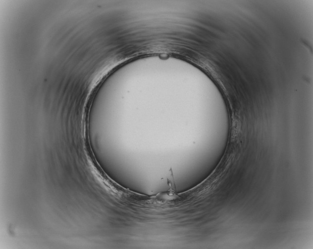 X0000102800795200809021135