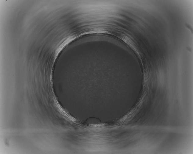 X0000102800797200809021135