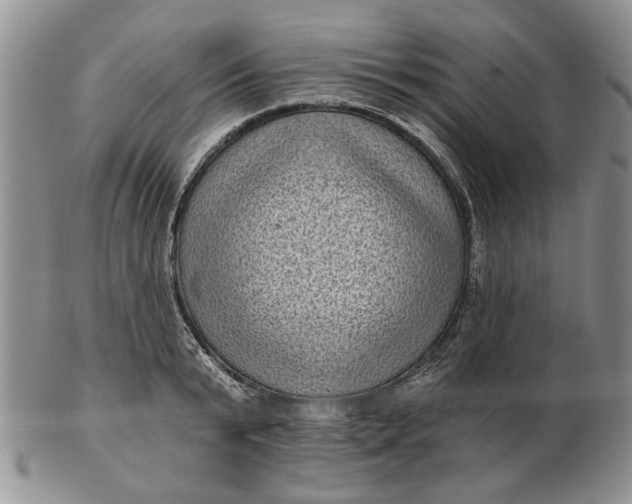 X0000102800799200809021135