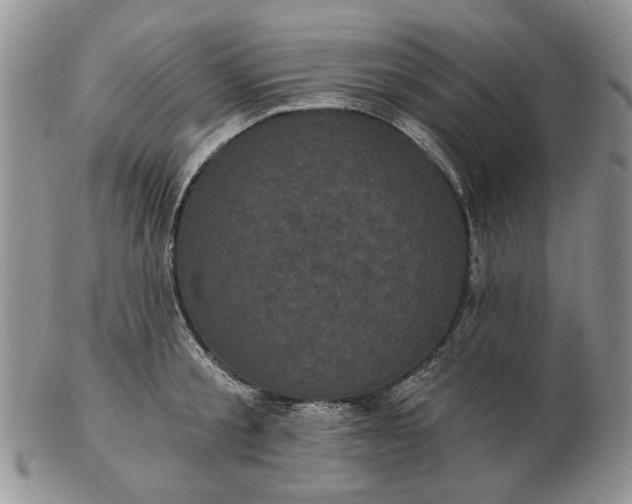 X0000102800805200809021135