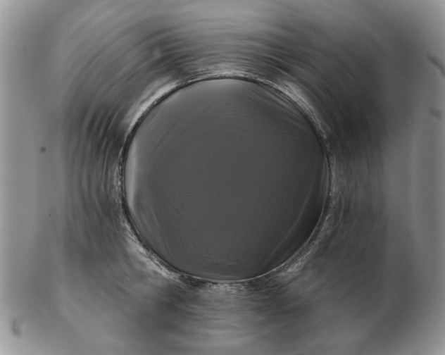 X0000102800806200809021135