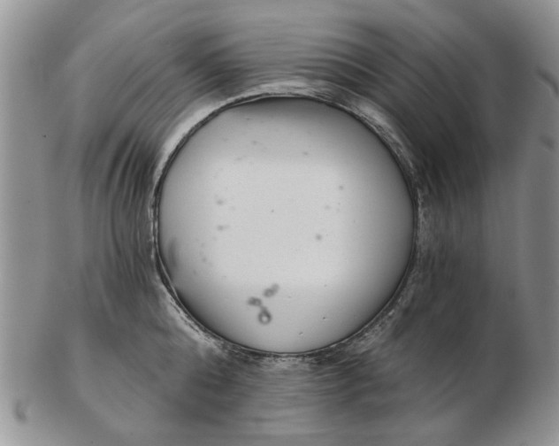 X0000102800808200809021135