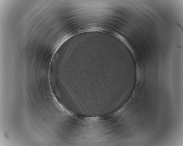 X0000102800810200809021135