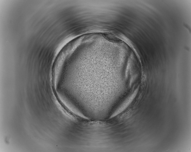 X0000102800811200809021135