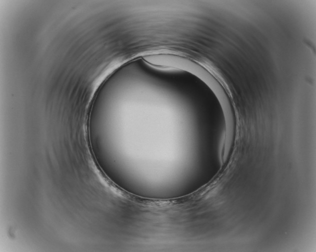 X0000102800813200809021135