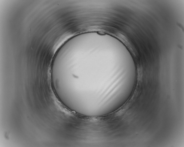 X0000102800814200809021135