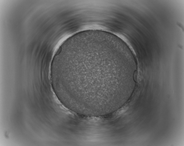 X0000102800815200809021135